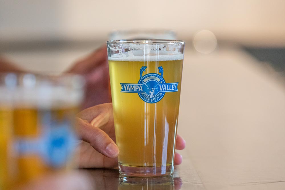 Detail shot of someone holding a pint glass of beer