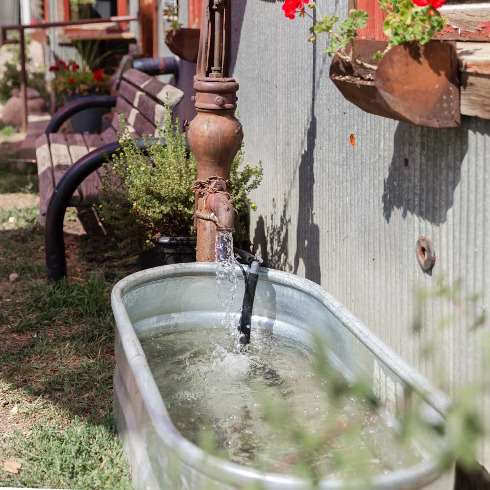 Water coming out of vintage spout going into a feeing trough in front of Wild Goose Coffee.